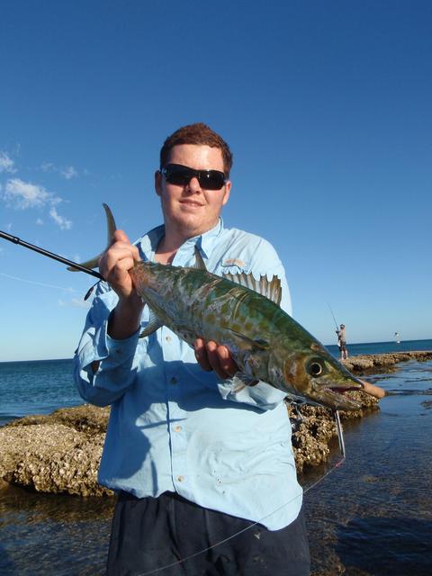 Spun up Sharky Spun up Sharky